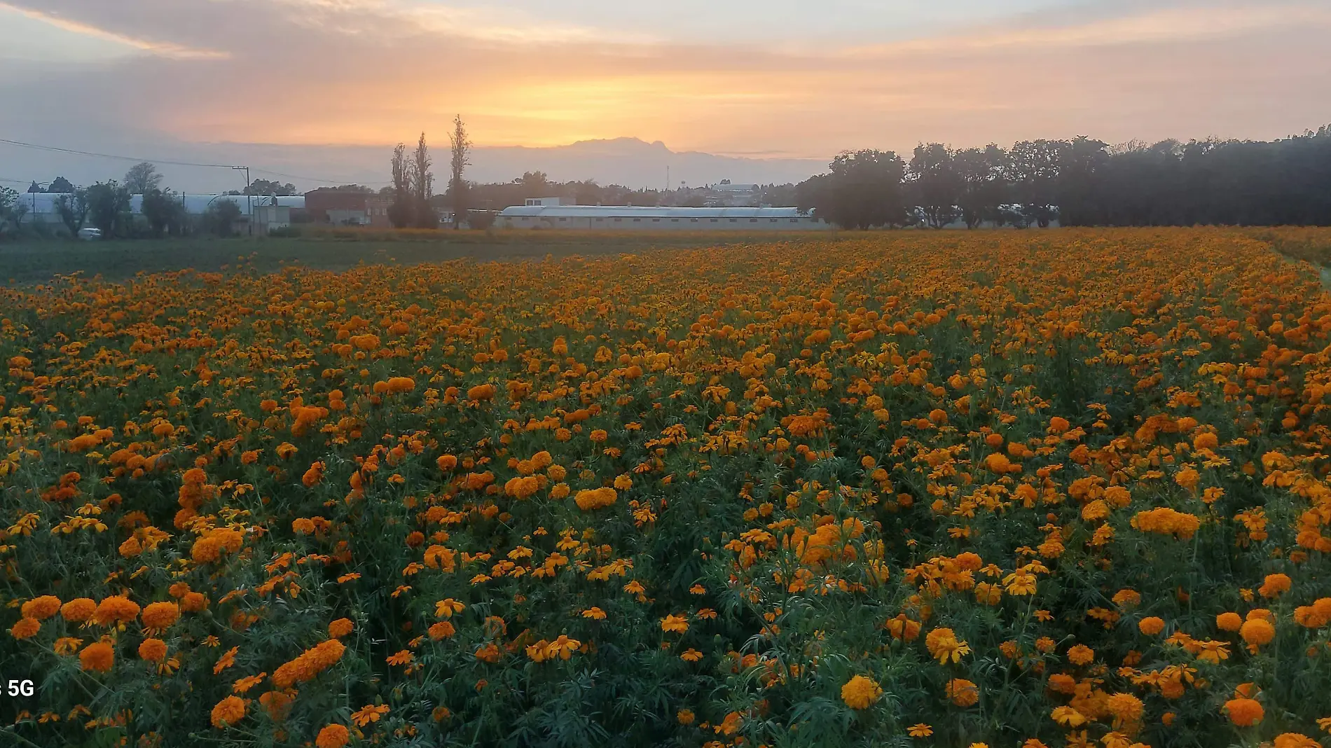 calidad del aire en Tlaxcala Caída de Ceniza  (4)